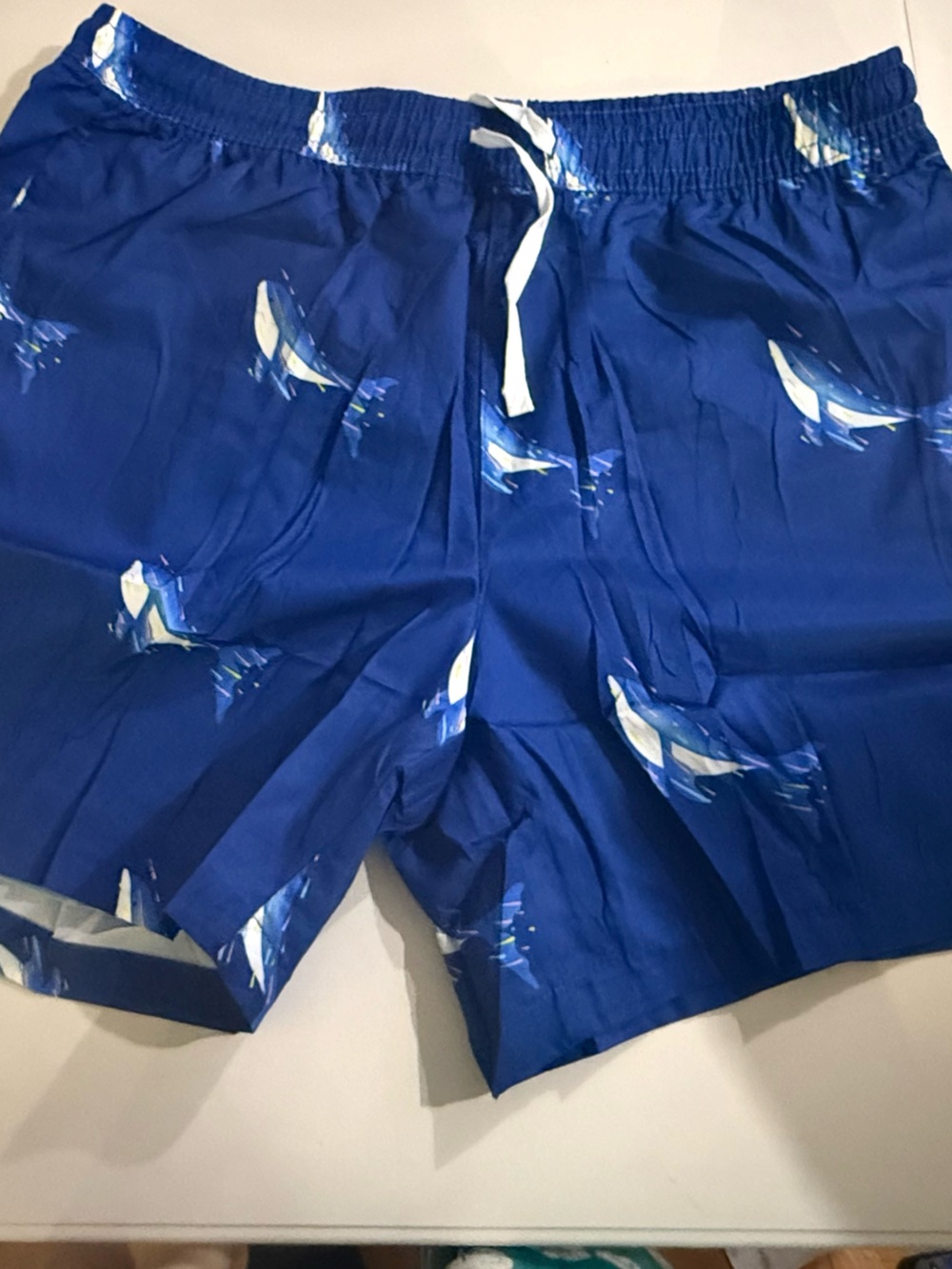 Men's Blue Swim Shorts with dolphin Print